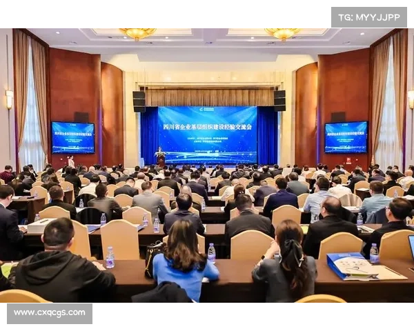 埃及下一场比赛会赢吗 全面回顾埃及国家队近期国际赛事征程胜败得失与经验总结