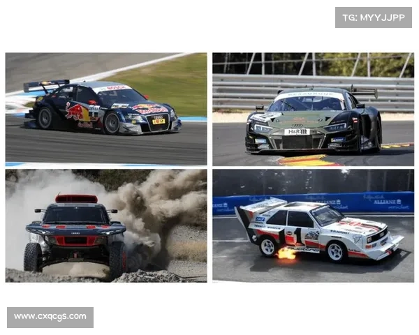 奥迪拿过的赛事冠军—奥迪拿过的汽车赛事冠军